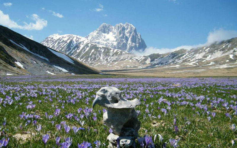 Gran Sasso e i Monti della Laga